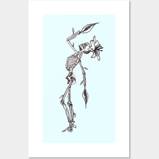 Fairy Skeleton Posters and Art